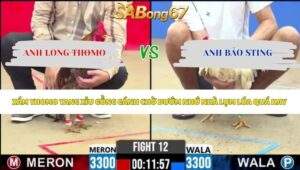 Trận 12 bồ CPC2 13/5/2026
