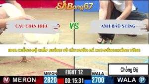 Trận 12 bồ CPC2 15/5/2026