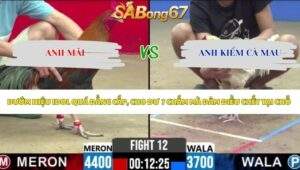 Trận 12 bồ CPC2 2/5/2026