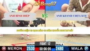 Trận 12 bồ CPC2 20/5/2026