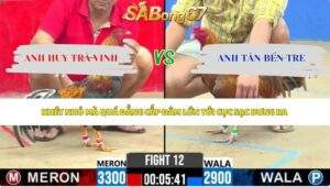 Trận 12 bồ CPC2 22/5/2026