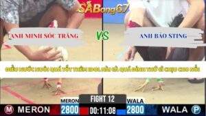 Trận 12 bồ CPC2 6/5/2026