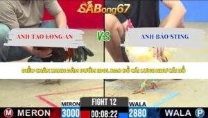 Trận 12 bồ CPC2 8/5/2026