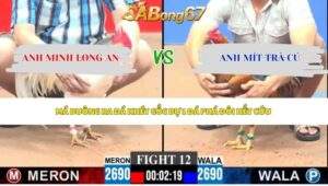 Trận 12 bồ CPC3 11/5/2026