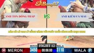Trận 12 bồ CPC3 31/5/2026