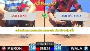 Trận 12 bồ CPC3 4/5/2026