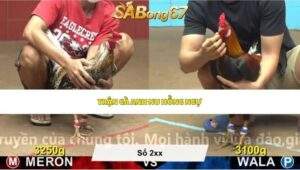 Trận 12 bồ CPC4 12/5/2026
