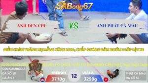 Trận 12 bồ Xà Xía 12/5/2026