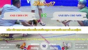 Trận 12 bồ Xà Xía 14/5/2026