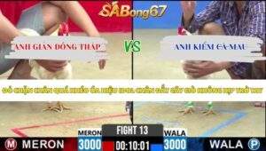 Trận 13 bồ CPC2 21/5/2026