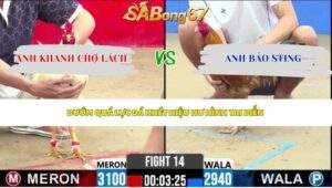 Trận 14 bồ CPC2 13/5/2026