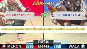 Trận 14 bồ CPC2 15/5/2026