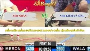 Trận 14 bồ CPC2 2/5/2026