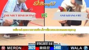 Trận 14 bồ CPC3 10/5/2026