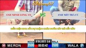Trận 14 bồ CPC3 9/5/2026