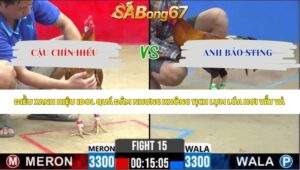Trận 15 bồ CPC2 15/5/2026
