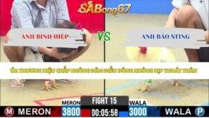 Trận 15 bồ CPC2 19/5/2026
