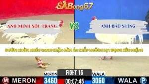 Trận 15 bồ CPC2 27/5/2026