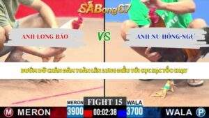 Trận 15 bồ CPC3 17/5/2026