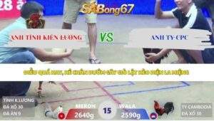 Trận 15 bồ Xà Xía 3/5/2026