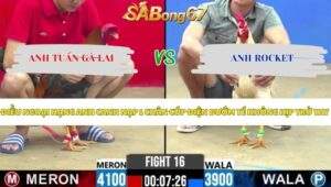 Trận 16 bồ CPC2 12/5/2026
