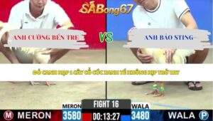 Trận 16 bồ CPC2 15/5/2026