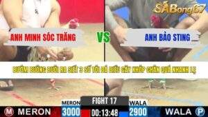 Trận 16 bồ CPC2 6/5/2026