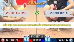 Trận 16 bồ CPC3 11/5/2026