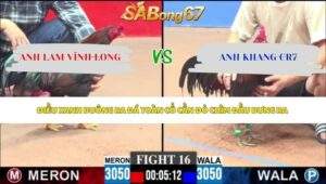 Trận 16 bồ CPC3 17/5/2026