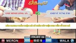Trận 16 bồ CPC3 21/5/2026