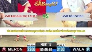 Trận 17 bồ CPC2 13/5/2026