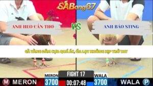 Trận 17 bồ CPC2 19/5/2026