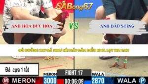 Trận 17 bồ CPC2 27/5/2026