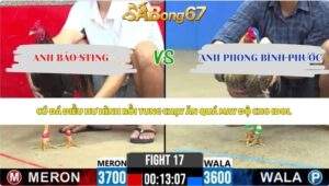 Trận 17 bồ CPC2 30/5/2026