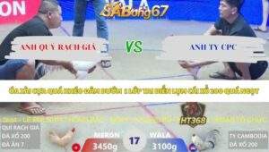 Trận 17 bồ Xà Xía 14/5/2026