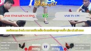 Trận 17 bồ Xà Xía 3/5/2026