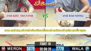 Trận 18 bồ CPC2 1/5/2026
