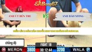 Trận 18 bồ CPC2 27/5/2026