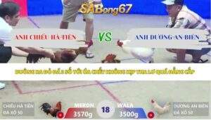 Trận 18 bồ Xà Xía 3/5/2026