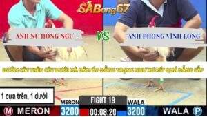 Trận 19 bồ CPC2 19/5/2026