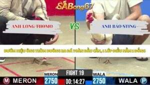 Trận 19 bồ CPC2 20/5/2026