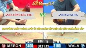 Trận 19 bồ CPC2 27/5/2026