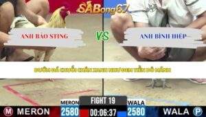 Trận 19 bồ CPC2 8/5/2026