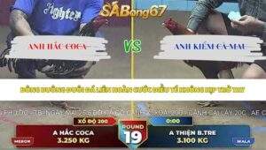 Trận 19 bồ Thường Phước 24/5/2026