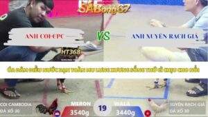 Trận 19 bồ Xà Xía 3/5/2026