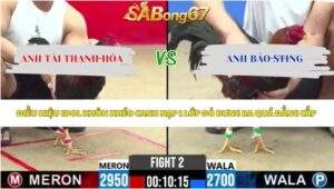 Trận 2 bồ CPC2 15/5/2026