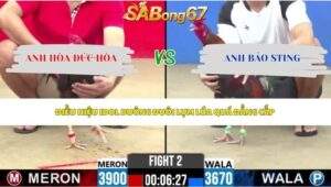 Trận 2 bồ CPC2 19/5/2026
