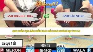 Trận 2 bồ CPC2 27/5/2026