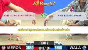 Trận 2 bồ CPC2 30/5/2026