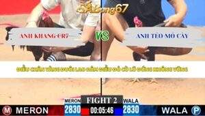 Trận 2 bồ CPC3 10/5/2026